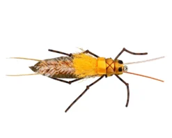 RIO's Morrish Still Stone -Fish Mate Store 13613 large