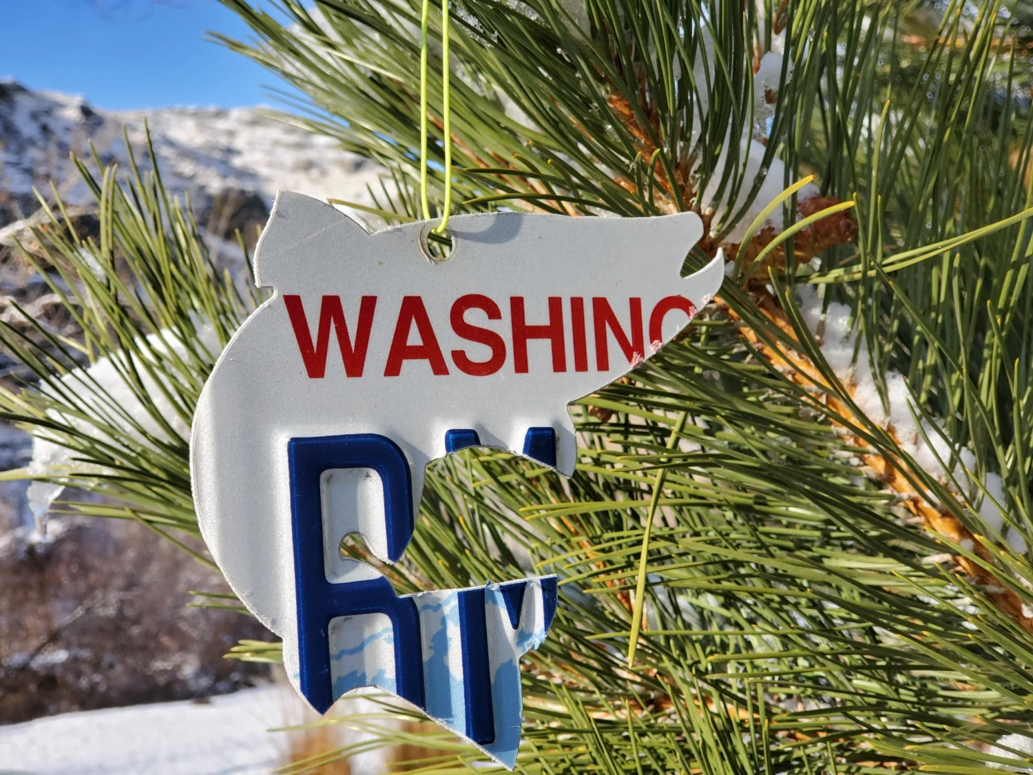 Christmas Tree Ornament // Washington State License Plate Fish Cutouts 2 Christmas Tree Ornament // Washington State License Plate Fish Cutouts - Image 2