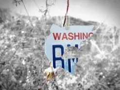 Christmas Tree Ornament // Washington State License Plate Fish Cutouts