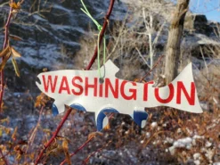 Christmas Tree Ornament // Washington State License Plate Fish Cutouts 9 Christmas Tree Ornament // Washington State License Plate Fish Cutouts -Fish Mate Store 20191213 103511 resized