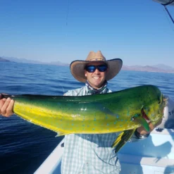 Top 12 Roosterfish & Dorado Flies // Deadly Dozen Assortment 10 Top 12 Roosterfish & Dorado Flies // Deadly Dozen Assortment -Fish Mate Store 28317592457 1c0f51ecd5 k