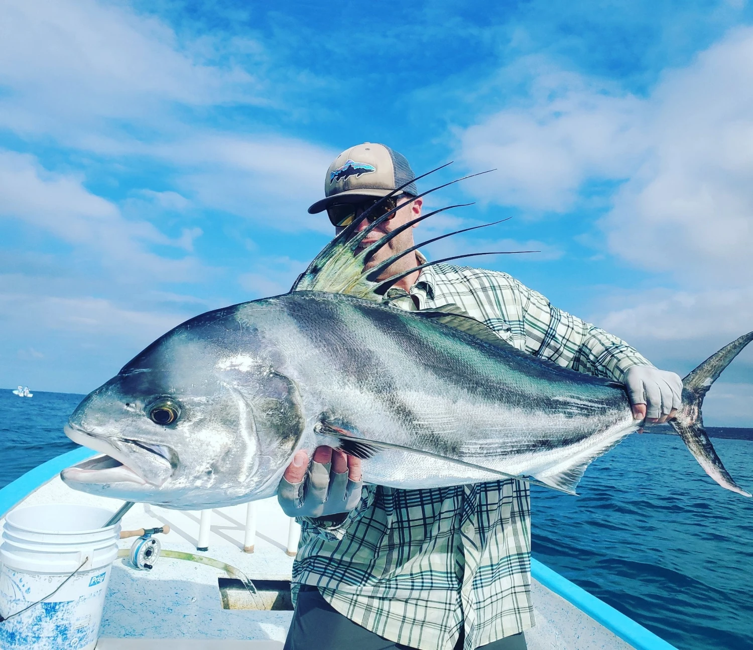 Top 12 Roosterfish & Dorado Flies // Deadly Dozen Assortment 7 Top 12 Roosterfish & Dorado Flies // Deadly Dozen Assortment - Image 7