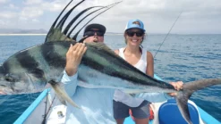 Top 12 Roosterfish & Dorado Flies // Deadly Dozen Assortment