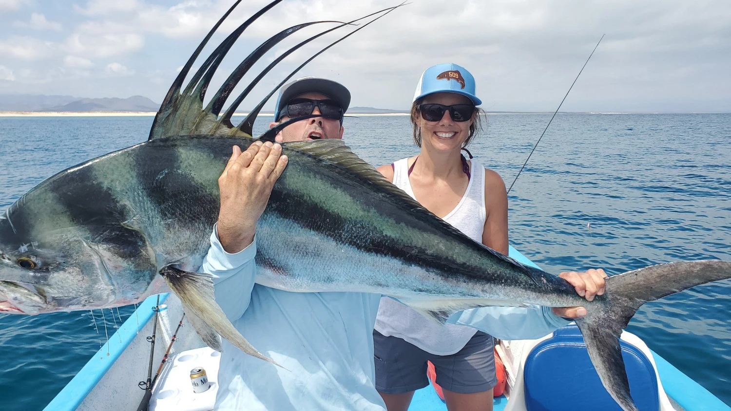 Top 12 Roosterfish & Dorado Flies // Deadly Dozen Assortment 1 Top 12 Roosterfish & Dorado Flies // Deadly Dozen Assortment