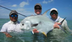 Top 12 Permit Flies // Deadly Dozen Assortment