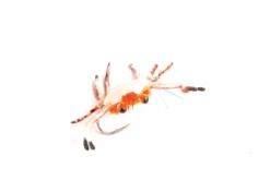 Trigger Crab By Fulling Mill // Fly For Triggerfish Or Permit