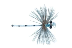 Adult Damsel Dry Fly By Solitude
