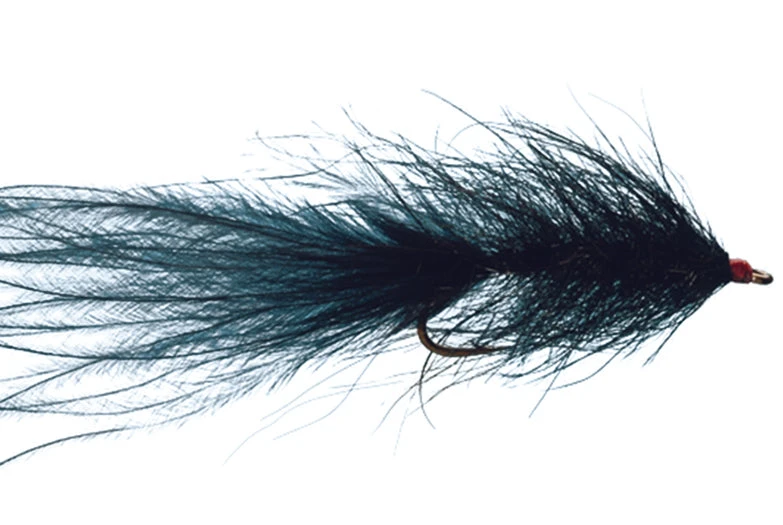 Hale Bopp Leech By Solitude 1 Hale Bopp Leech By Solitude