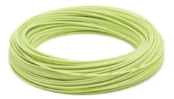 RIO Mainstream Trout Fly Line 5 RIO Mainstream Trout Fly Line -Fish Mate Store MS Trout F coil