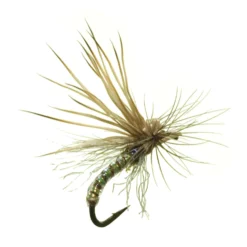 Missing Link Caddis By Umpqua