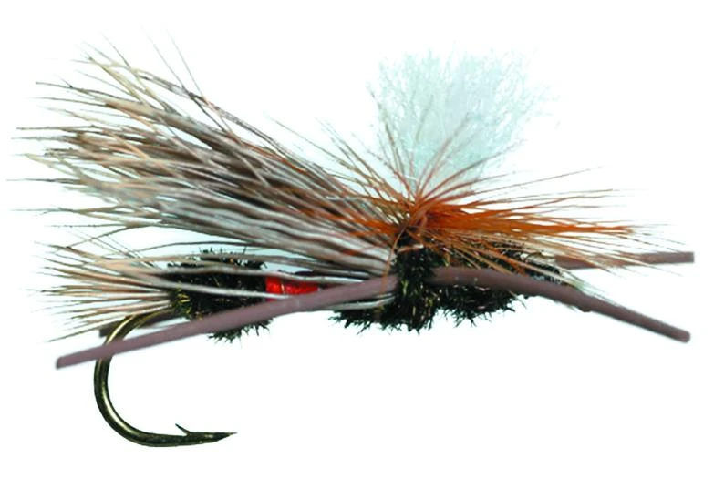 Royal Parachute X By Solitude // Terrestrial & Attractor 1 Royal Parachute X By Solitude // Terrestrial & Attractor