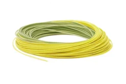 RIO Premier Gold 8 RIO Premier Gold -Fish Mate Store Premier RIOGold Coil Moss Gold