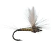 Winger Parachute BWO By Solitude