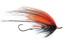 Foxee Dog By Solitude 5 Foxee Dog By Solitude -Fish Mate Store ST047O B