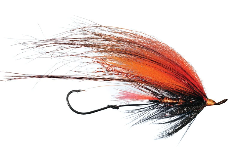 Foxee Dog By Solitude 3 Foxee Dog By Solitude - Image 3