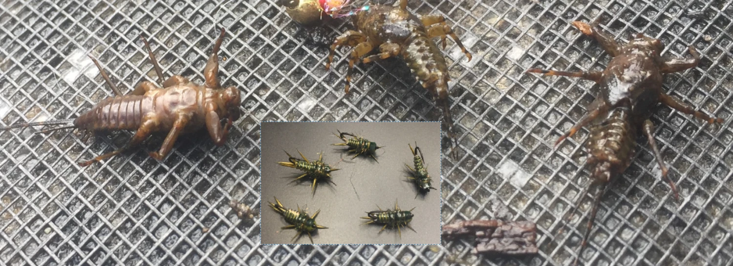 RIO's Point Drake // Tungsten Jig Anchor Nymph 2 RIO's Point Drake // Tungsten Jig Anchor Nymph - Image 2